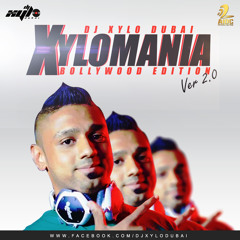 15) TERE HOKE RAHENGE - DJ XYLO (DUBAI) REMIX