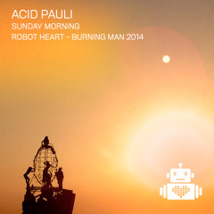 Acid Pauli - Robot Heart - Burning Man 2014