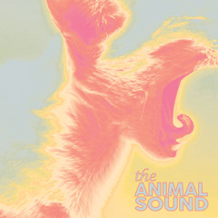 The Animal Sound - "Gnarwhal"