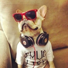 Artie's Summer Turnup Mixtape