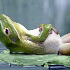 My Top EDM Tracks