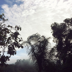 Daytime sounds of Kampung.