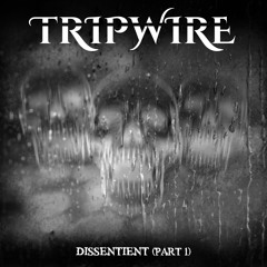 Dissentient (Part 1)