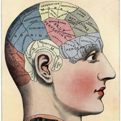 Doktor Tox Found Memory