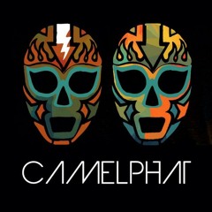 CamelPhat January 2015 Mixtape