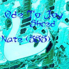 Oad To Joy - Shred
