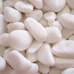 Little White Rocks
