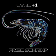 Ctrl+1 - Fried Schrimp (Final Mix)