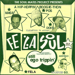 Fela Soul - Still Ego Trippin'
