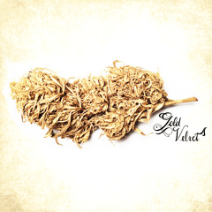 Going Nowhere. ft. Young Davinci & B-Willz