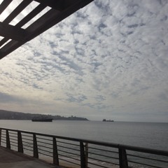 De olas, barcos, perros y personas