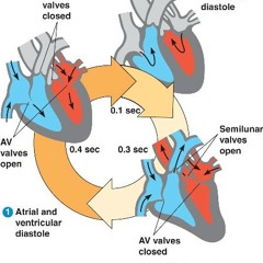 even if this was the end