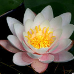 Nepali lok geet