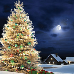 მრავალჟამიერ - შავნაბადა (კოტე ამაშუკელი, გაგა აბაშიძე)