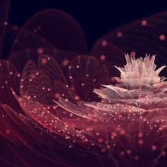 Waltz for Metamorphosis