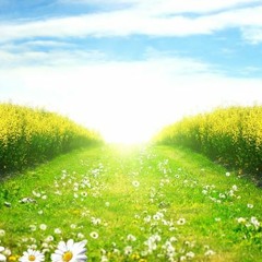 تموج السطور رثاء الشيخ عبدالعزيز بن باز رحمه الله تعالى