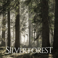Silver Forest By Andy Hiroyuki Composer Silver Forest By Andy Hiroyuki Composer