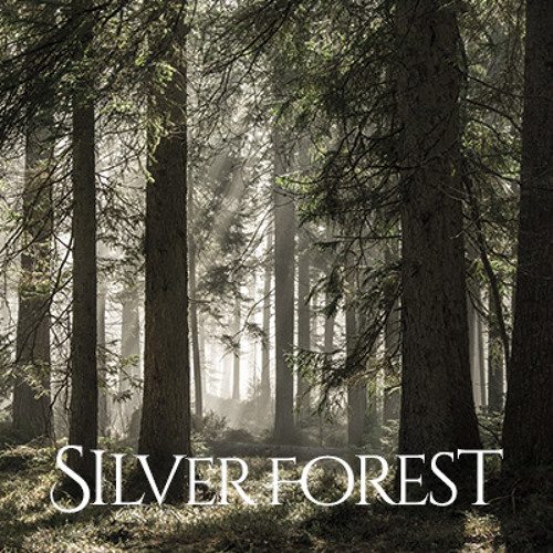 Silver Forest 白銀の世界 By Andy Hiroyuki Composer