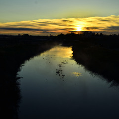あけおめトランス