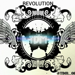 TDM_something better (rudye cover)