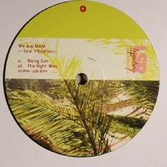 Soul Vibrations [LSR-017V] Snippet