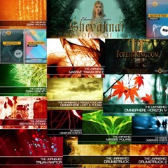 Soundlibraries Demos