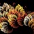 Artwork for Leaves