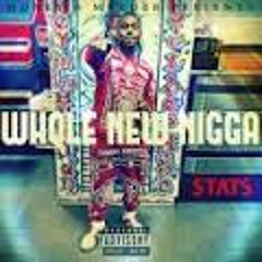 Whole New Nigga (Remix) Stats Ft. Av