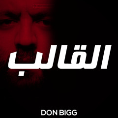 DON BIGG - L9ALEB - 2014