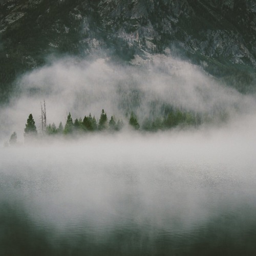 Whithe - Wolves Are Gone