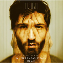 Nicholson - For What (When Pandas Attack Remix)
