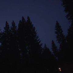 Yosemite - Night Drive