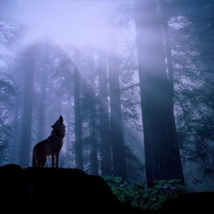 Sendefehler - Fullmoon (Original Mix)