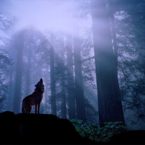 Sendefehler - Fullmoon (Original Mix)
