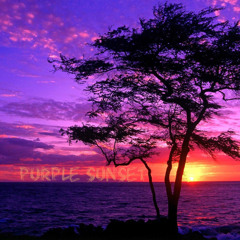 Jeremy Steeve- Purple Sunset Ft. Dubz