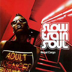 Slow Train Soul - Train Of Dawn (Nteeze & Andy Remix)