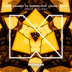 Slider & Magnit vs Robero ft. L Carver - Price You Pay (Laidback Luke Edit)