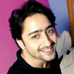 Seperti Yang Kau Minta - Shaheer Sheikh