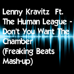 Lenny Kravitz ft. The Human League - Don't You Want The Chamber (Freaking Beats Mashup)