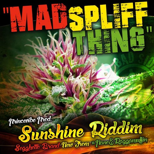 Mad Spliff Thing - Sogghetto -