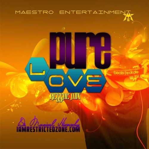 Restricted Zone - Pure Love (Reggae Mix)