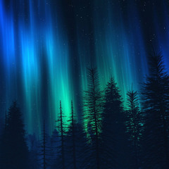 Northern Light (2003)