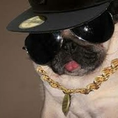 Societal Reject (prod. MF Grimm)-Lil Pancake