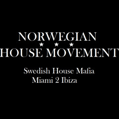 Swedish House Mafia - Miami 2 Ibiza (Norwegian House Movement EDIT )