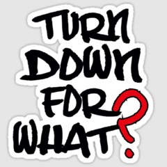 DJ FLICS - Turn Down For Balkan (Remix)