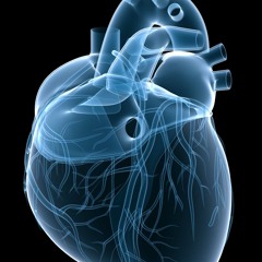 element feat anne clark - the hardest heart