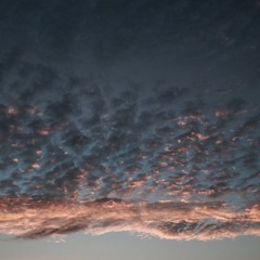 Kokaina - Katarzyna Nosowska (cover)