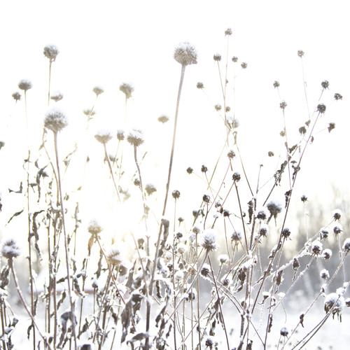 Hope Without Optimism