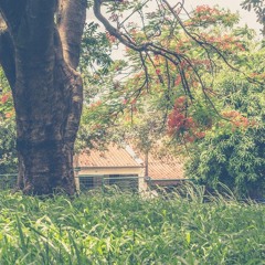 Cada Centimetro De Percepção(Feat Lucas Macedo/About A Soul e Ralf Ricardo/Lighthouse)