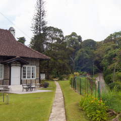 Night at Fraser's Hill